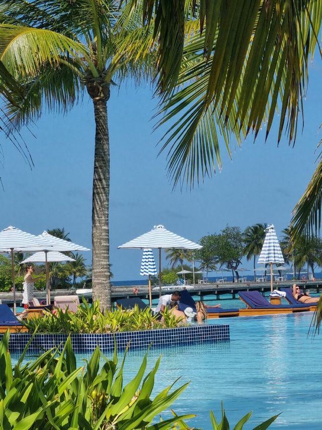 Exceptional Stay: Feels Like Home in Paradise