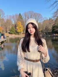 彩林秘境，成都1.5小時直達
