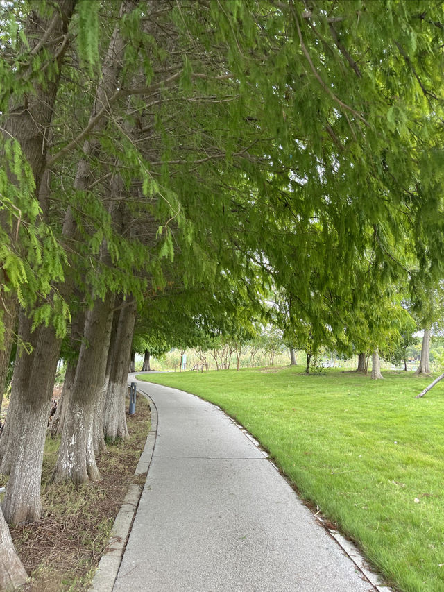 東沙湖生態公園