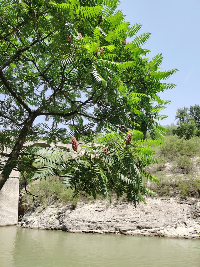 平陽湖遊玩大揭秘！風景竟藏在這