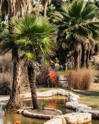 【中南百草園全旅行攻略】一次玩轉動物+植物+遊樂園的夢幻之旅