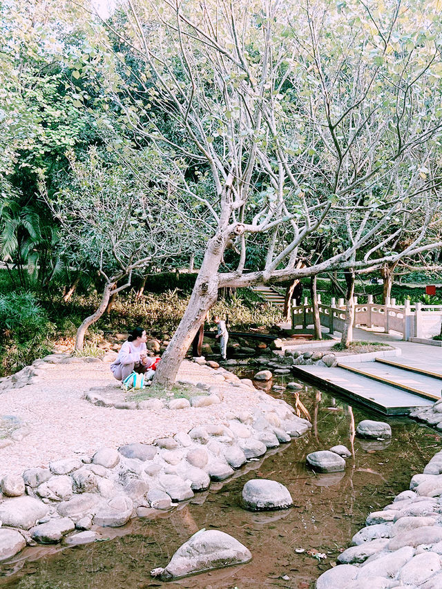 ⛺️ 蓮花山X 筆架山公園｜城市裡也能露營的綠色天堂