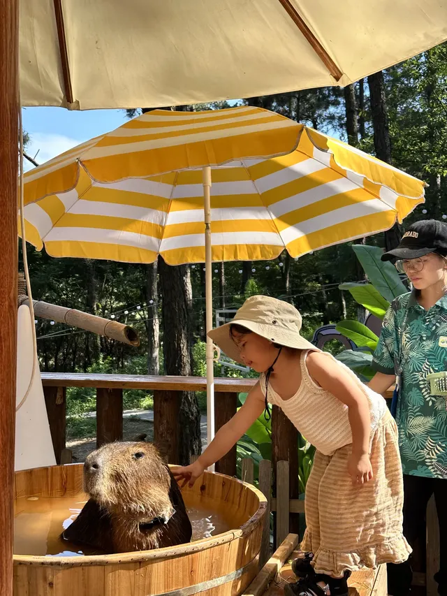 南京1h，在森林裡漂流、避暑、玩水