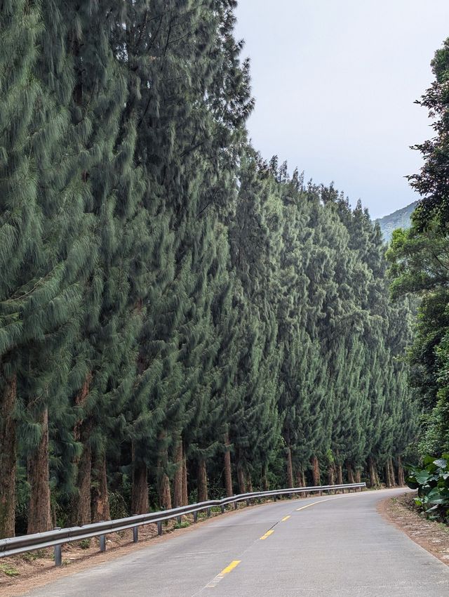 潮汕+南澳島3日遊：暢遊海島秘境，探訪老城風情