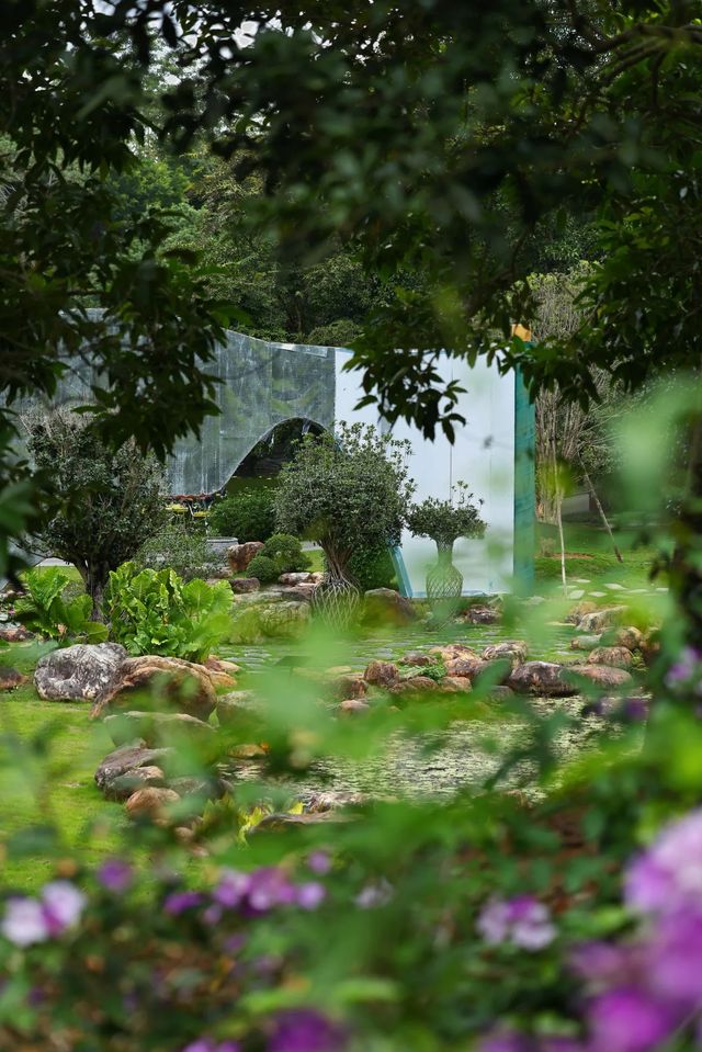 絕美花海打卡地桂花園蒜香藤驚艷綻放 絕美花海打卡地桂花園蒜香藤驚艷綻放