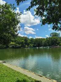 深圳這些絕美公園太出片了!隨手拍都是治癒系大片