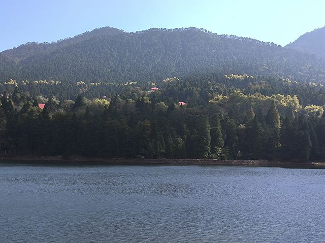 霧隱嵐山火燭幽