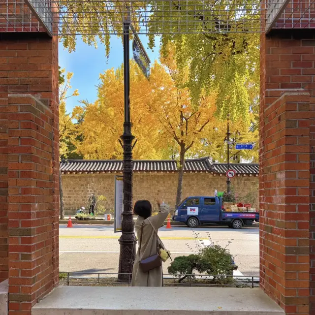 The Essence of Autumn in Seoul: Fall in Love with the Golden Scenery!
