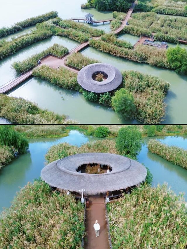 11月的下渚湖，是秋天最治癒的打開方式！