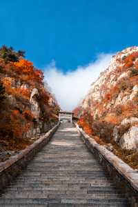 家庭遊好去處！山東日遊超高性價比