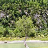 秋日長坪溝+雙橋溝徒步指南人間仙境太美啦