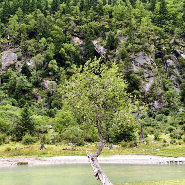 秋日長坪溝+雙橋溝徒步指南人間仙境太美啦