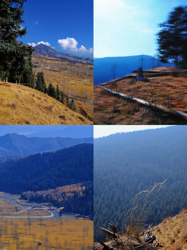 免費吸氧地！貴德江拉旅遊實用筆記