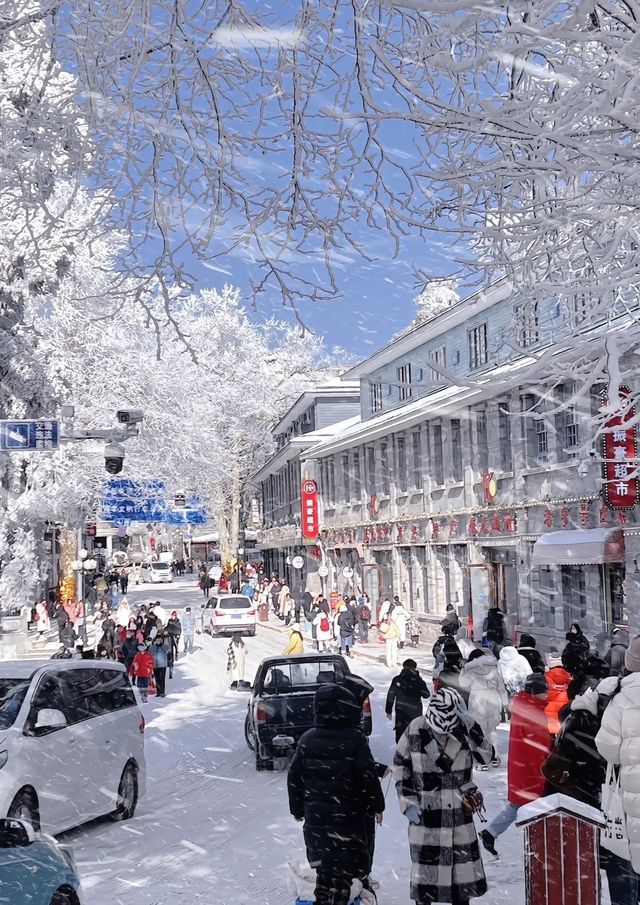 廬山冬日情書：牯嶺街的雪是童話濾鏡吧！