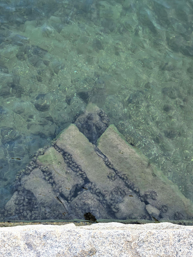 泉州晉江安平橋～天下無橋長此橋