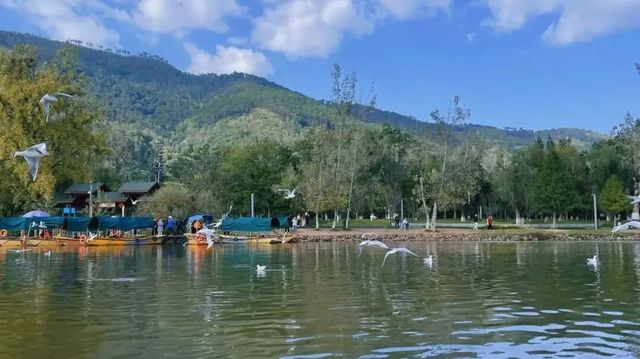 把秋假還給自然!這裡的秋冬沒有圍牆~ 把秋假還給自然!這裡的秋冬沒有圍牆~