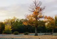 阿勒泰美翻的五彩灘