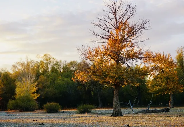 阿勒泰美翻的五彩灘