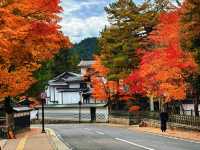 拈花一笑高野山