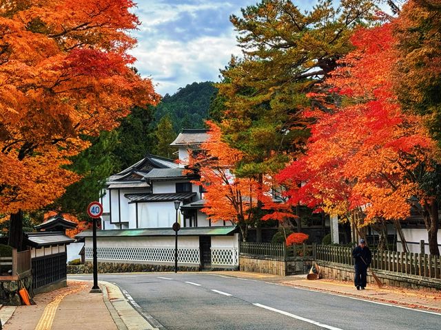 拈花一笑高野山