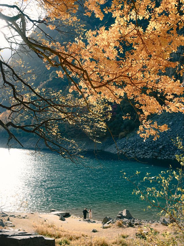 來回9小時，值回票價到喊晒！松坪溝嘅秋天簡直係神級啦