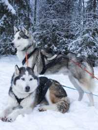 秋天北歐連遊這份攻略不看後悔