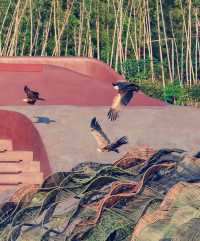 宜興慢遊記｜山水環抱間的詩意棲居，週末來場治癒系旅行  這片被太湖懷抱的小城真的戳中我的審美！竹海、