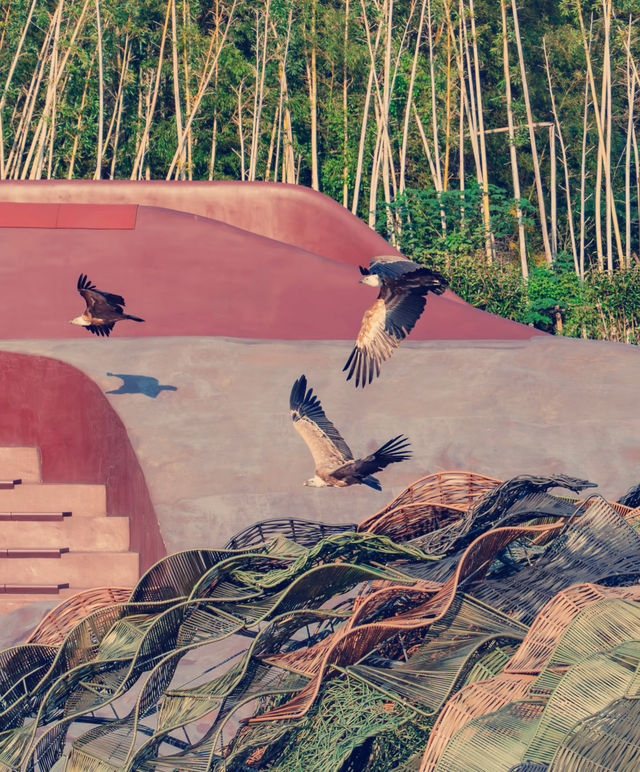 宜興慢遊記｜山水環抱間的詩意棲居，週末來場治癒系旅行  這片被太湖懷抱的小城真的戳中我的審美！竹海、
