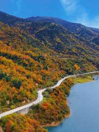 成都向北2h!闖入免費彩林秘境,邂逅川版喀納斯