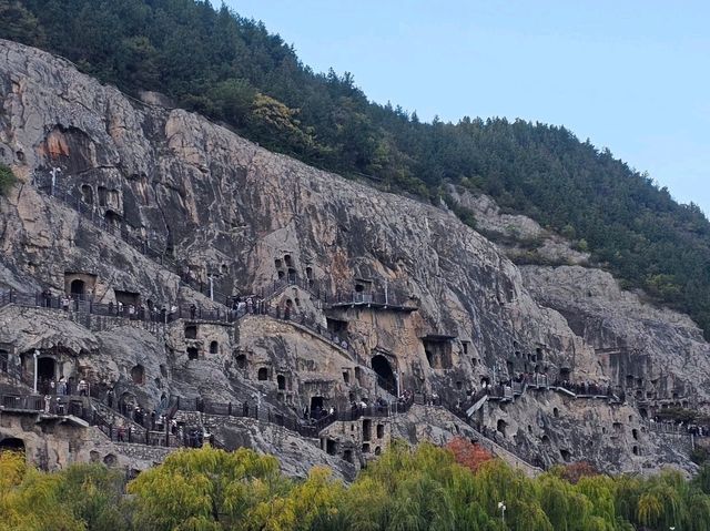 Picture perfect spots in Longmen Grottoes