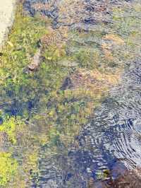 深秋阿爾山騎馬逐浪邂逅大興安嶺最美秋天