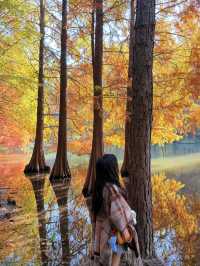 燕雀湖+明孝陵隱藏路線！99%人不知道的絕美秘境