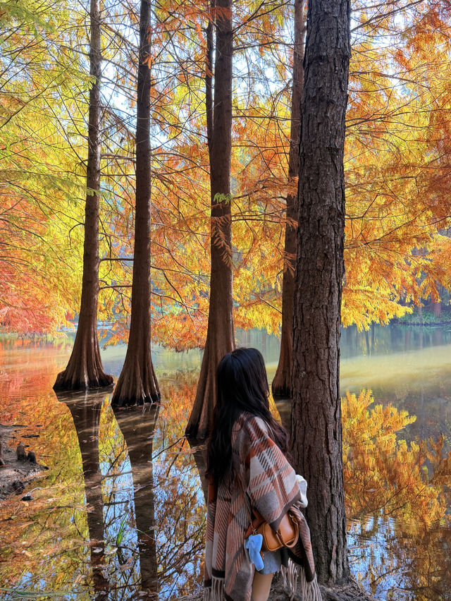 燕雀湖+明孝陵隱藏路線！99%人不知道的絕美秘境