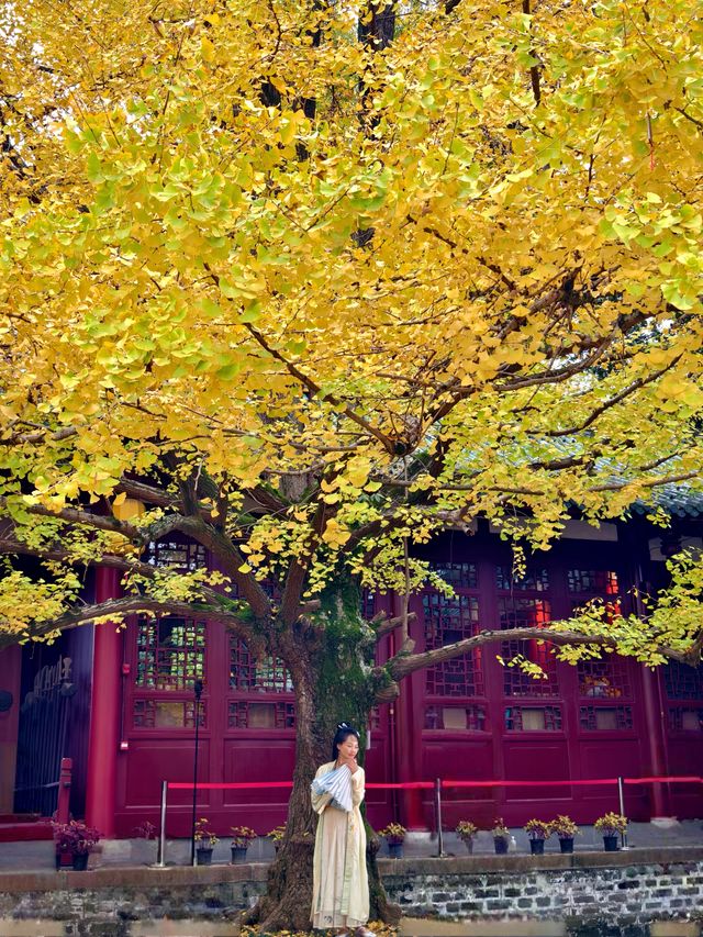 為了這扇秋日限定的窗，我專門去了趟崇州