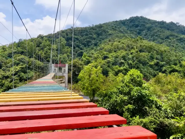 Venture into the Tropical Rainforest! A Nanny-Level Travel Guide to Wuzhishan