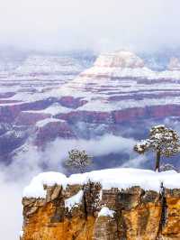 不趕路暢玩國家公園!美西定制包車路線可調