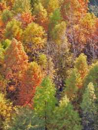 南京99%的人都不知道這裡， 出片還人少