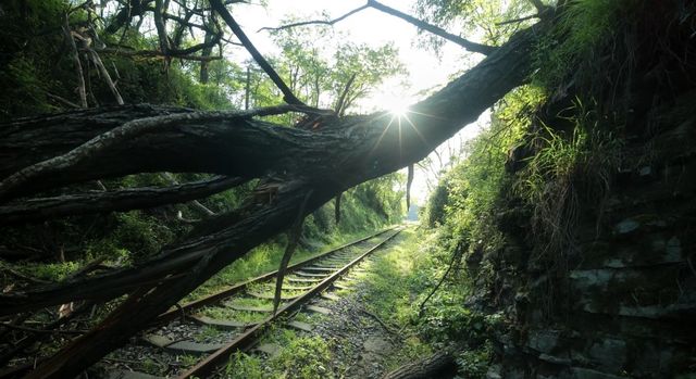 貴陽小眾拍照聖地！廢棄軌道隨手拍出大片感