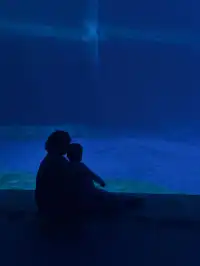 一歲半幼崽的海洋世界之旅