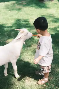萬寧半日遊 | 打卡超適合小寶寶的牧場