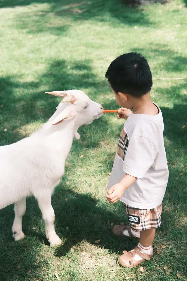 萬寧半日遊 | 打卡超適合小寶寶的牧場