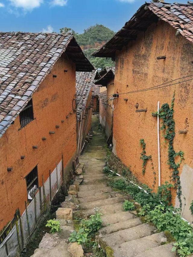 藏在山野裡的治癒小村