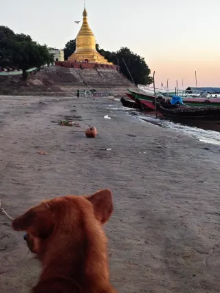 Myanmar | The Day and Night of Bagan, the City of a Thousand Buddhas