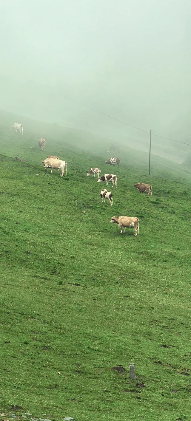 桃花江畔都市秘境