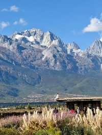 實拍live圖│玉龍雪山絕美瞬間!白沙古鎮視角絕了