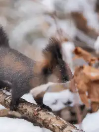 再吃，再吃就把你拍下來，放到網上去！