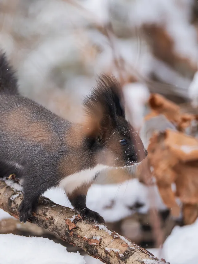 再吃，再吃就把你拍下來，放到網上去！