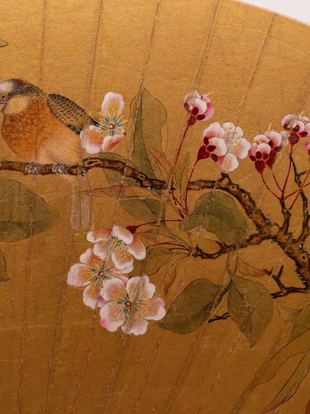 為了欣賞它，值得一去再去