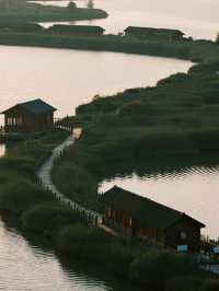 杭州灣濕地公園親子遊!詩經觀鳥+遛娃寶藏地