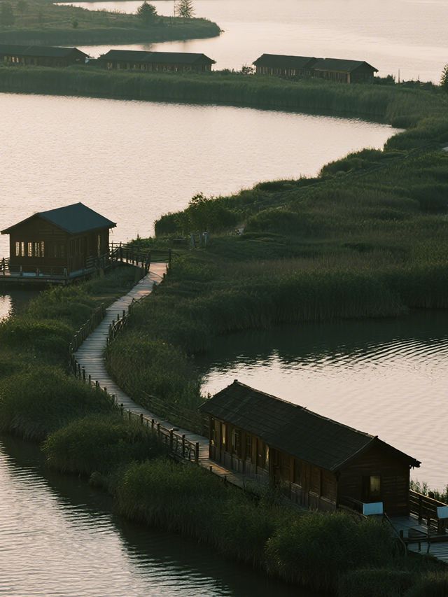 杭州灣濕地公園親子遊!詩經觀鳥+遛娃寶藏地 杭州灣濕地公園親子遊!詩經觀鳥+遛娃寶藏地